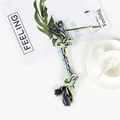 Macro shot of a durable blue and yellow knotted cotton rope toy for dogs in home setting - Double Knot 50g 23cm Multi-color