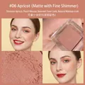 Matte apricot blush powder #06 with subtle shimmer in clear square compact packaging - 06# Apricot (Matte with Fine Shimmer)
