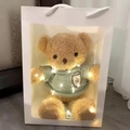 Oso de peluche marrón con jersey verde y luces LED en una bolsa de regalo blanca - Bolsa de Regalo + Cadena de Luces (Sin Oso)