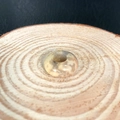 Singola perla di agata giallo-marrone con texture naturale su fondo in legno - Agata Pazza