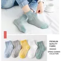Five-pair set of breathable mesh cotton socks for toddlers in pastel assorted colors - Solid Color Crew Sock Mesh (Assorted)