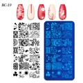 Macro detail of BC-19 rectangular nail stamping plate with intricate floral and bird patterns - Bird Flower Intertwined Line Style (BC-19)