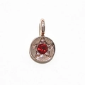 Silver round pendant with a red birthstone and engraved star patterns on white background - Rose Gold July