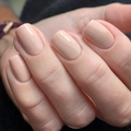 Classic short square press-on nails in elegant glossy nude beige solid color finish - Nude (JP3161)