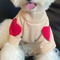 Beige high collar pet sweater with red heart patches for small dogs and cats - Khaki