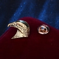 Classic golden metal eagle head brooch pin with secure back on red velvet background - Antique Gold Eagle
