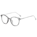 Minimalist cat-eye glasses frame with transparent grey rims and slim silver metal temples - Transparent Grey Silver Leg