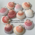 Macro shot of natural scallop shell pendants with gold loops and vibrant gradient textures - Queen Shell Notepad (Colorful Series)