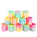 Set di 12 molle arcobaleno colorate con simpatici volti di coniglio per Pasqua - Grande Coniglio Molla Arcobaleno