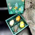 Beauty-Schwamm-Set mit Haltern in einer grünen Geschenkbox mit Flamingomotiv - 3 Schwämme + 1 Halter + Geschenkbox / Gelb Orange Hautfarben 3-Farben-Mix