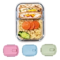 Dual compartment glass lunch box with colorful pink blue and green lid options - Rectangular 2-Grid 1000ml