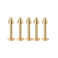 Set van 5 gouden roestvrijstalen labret studs met kegelvormige topjes voor piercings - Goud Punt