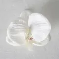 Testa di orchidea phalaenopsis bianca artificiale con centro giallo per fai da te - Pellicola 3D Bianco Puro (Piccolo)