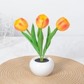 Orange LED tulip night light in white ceramic pot with realistic floral detail - Style A-3 Heads-Sunset Red-Battery