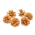 Set of 6 natural small pine cones for Christmas DIY crafts and home decor - Natural Chinese Pine-5-6cm