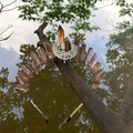 Close-up of natural brown crystal crown with a silver hollow moon on a tree branch - Brown