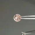 Champagne sparkling round zircon stud earrings in hypoallergenic titanium steel finish - 8mm Classical Rose (Single Piece)