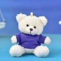 Adorable white teddy bear plush keychain accessory wearing a tiny purple sweater charm - 12cm (Bead Chain) / White Bear (Purple T-shirt)