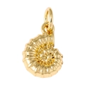 Detaillierte Nahaufnahme des goldenen Nautilus-Anhängers mit Zirkonia und Tropföl - Nautilus