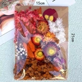 Preserved dried flower DIY kit with various colors in transparent bag, size 15x21cm - Flower Pack No.26