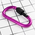 Purple aluminum alloy D-ring carabiner with black screw lock and security engraving - Purple