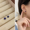 Mini S925 silver stud earrings with dark blue round pearls shown on model and in box - 5-6mm / Black