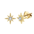 Elegant gold S925 sterling silver North Star stud earrings with sparkling white zircon - North Star Octagram Style (APE27-G) / Gold