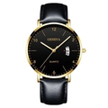 Men's business quartz watch with gold alloy case and black leather strap with date window - Black Dial Gold Case Black Leather Strap
