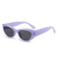Retro purple translucent cat-eye sunglasses with dark grey UV protective lenses - Jelly Purple Frame Black Grey Lens