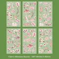 6 sheets of PET cherry blossom flower stickers for DIY journaling, 100x180mm pink sakura - Cherry Blossom Season (6 Sheets)