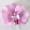 Testa di orchidea phalaenopsis viola artificiale per accessori per capelli e matrimoni - Pellicola 3D Viola Chiaro N. 2 (Grande)