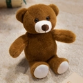 Plush brown teddy bear toy with white muzzle and paws on a cozy white carpet - Brown Bear (Naked) / Brown