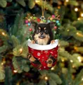 Weihnachts-Chihuahua-Hundeanhänger mit Rentiergeweih in einer roten Socke - Chihuahua Typ 5