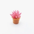 Miniature dollhouse pink succulent plant in a brown pot for micro landscape decor - 13mm*23mm / Yellow Pot Red Succulent