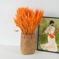 Cesto in erba palustre naturale con spighe di grano essiccate arancioni decorative - Giallo Piccolo E Orzo