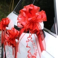 Detail view of red chiffon car decoration bows on mirror and door handle of a white car - 10 Strands Pack / Matte Red