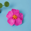 Pink 10cm artificial hibiscus hair clip with yellow stamen for beach vacation style - Rose Red