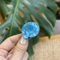 Detail of a blue translucent dolphin hair clip with shell texture and pearlescent finish - Mini Conch / Blue