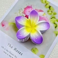 8cm Solid Color Spray Gradient Purple Standard