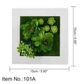 Square artificial succulent wall plant in a white 15cm frame with green moss - Style 101A