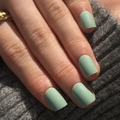 Short matte sage green press on nails with a natural frosted finish on a hand - Matte Sage (JP3196)
