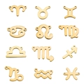 Set mit 12 goldenen Sternzeichen-Anhängern aus Edelstahl für DIY-Schmuck und Halsketten - Steinbock (CAPRICORN-10) / Gold