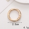 Macro view of 2.5cm golden spring gate ring with 4.1g weight specification detail - Spring Ring / 25mm / Gold