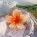 Elegant 8cm plumeria flower hair claw clip in translucent orange-pink gradient resin - Orange
