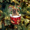 Mastiff (27)