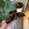 Detail of tortoise shell large claw clip with glossy finish and strong grip teeth - Large / Dark Tortoise