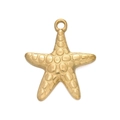 Gold plated stainless steel starfish pendant charm with textured surface for DIY jewelry - 520# Large Starfish Pendant Only / 19.5*23mm (2 Pieces/Pack) / Gold
