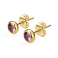 Boucles d'oreilles dorées en acier inoxydable avec zircons violets de coupe ronde - Violet