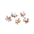 Detailed view of five brown gradient starfish charms with built-in hanging loops - Starfish B21