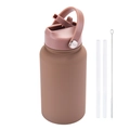 Brown 650ml stainless steel sports bottle with handle, straws and cleaning brush - Light Coffee